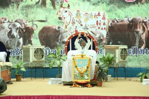 Pujya-Gopalmaniji-Gau-Katha--(13)