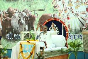 Pujya-Gopalmaniji-Gau-Katha--(14)