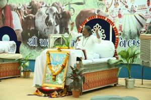 Pujya-Gopalmaniji-Gau-Katha--(15)